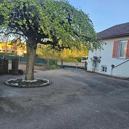 Paisible Avec Animaux - 6 Pers. - Fr-1-589-855 Apartment Etival-Clairefontaine